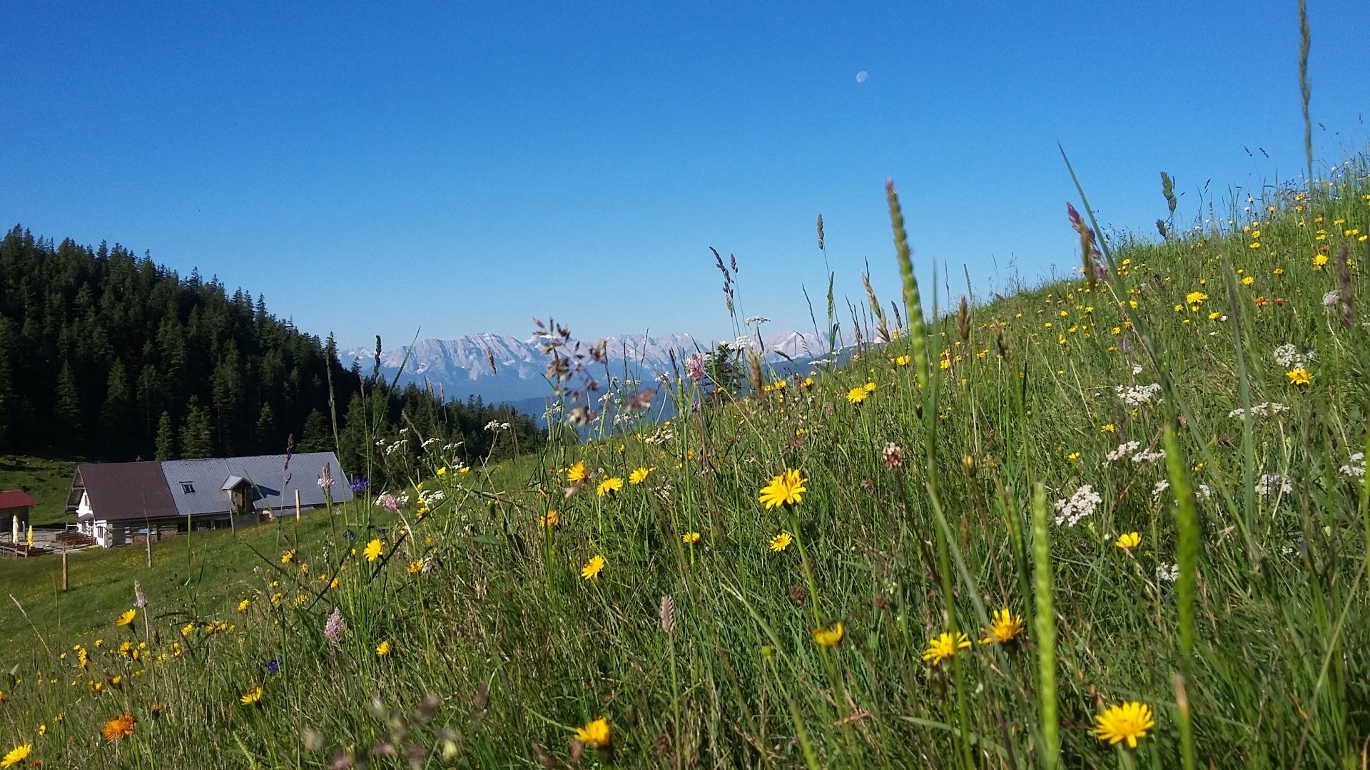 Jocheralm, © Gemeinde Jachenau