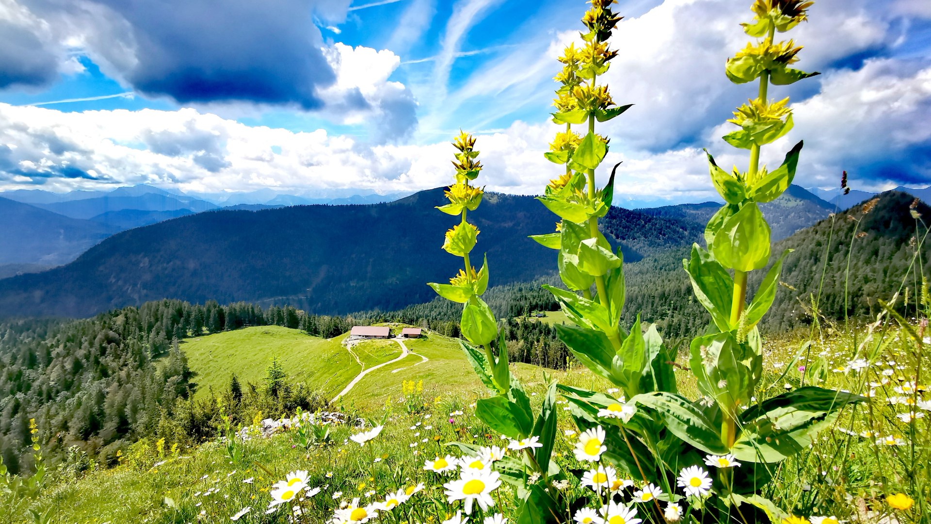 Blick Rabenkopf auf Staffelalm