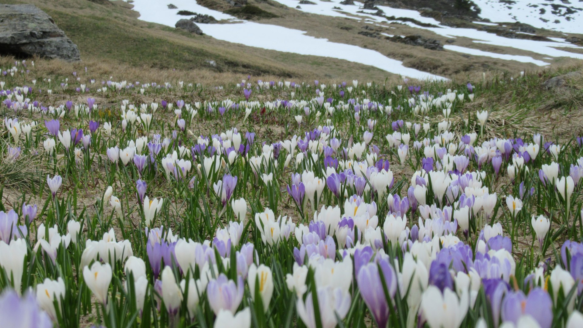 Frühling , © Thomas Stöger