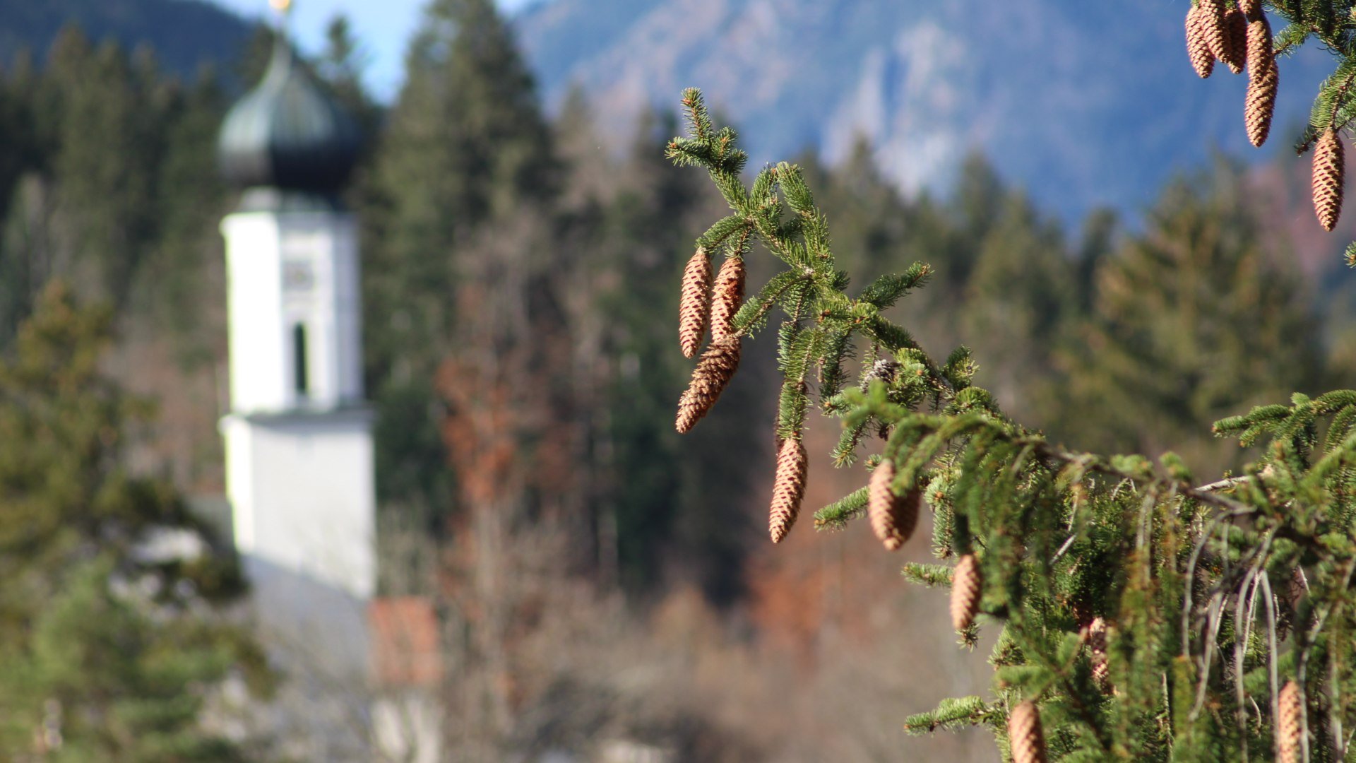 Blick Kirche, © Katharina Frech